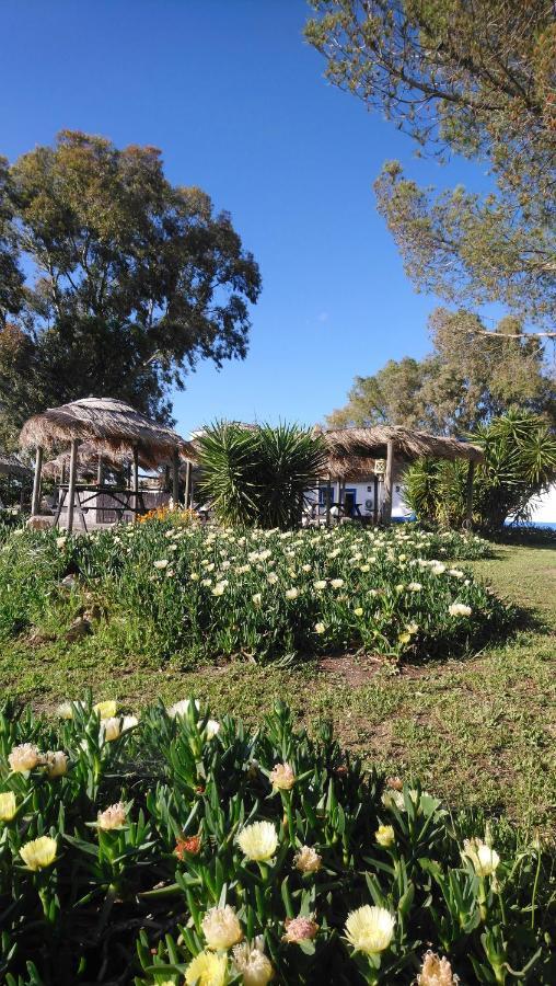 Lodge Monte Do Sobral Alcáçovas Eksteriør bilde